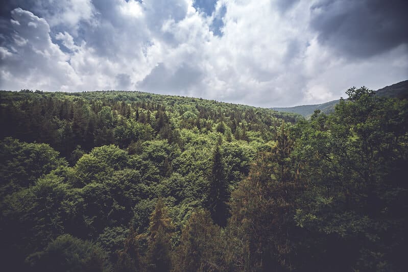 Биосферен резерват Червената стена